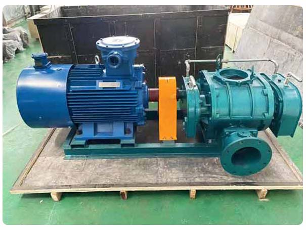 直聯(lián)傳動(dòng)羅茨鼓風(fēng)機(jī) 直聯(lián)傳動(dòng)羅茨鼓風(fēng)機(jī)